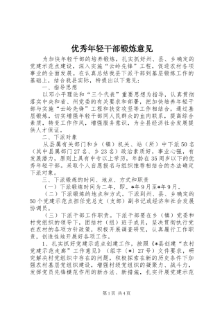 2024年优秀年轻干部锻炼意见