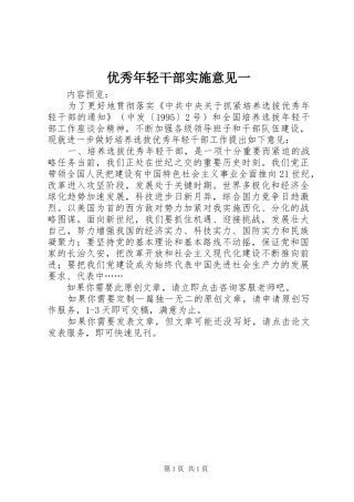 2024年优秀年轻干部实施意见一