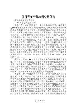 2024年优秀青年干部培训心得体会