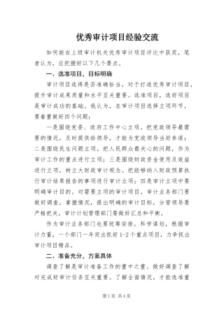 2024年优秀审计项目经验交流