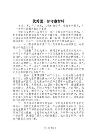 2024年优秀团干部考察材料