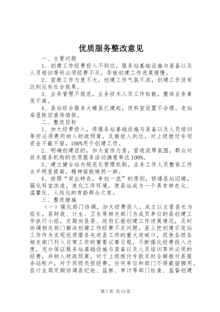 2024年优质服务整改意见