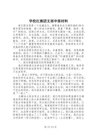 2024年学校红旗团支部申报材料