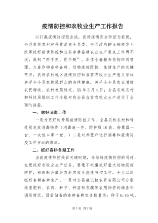 2024年疫情防控和农牧业生产工作报告