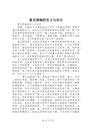 2024年意见领袖的含义与启示