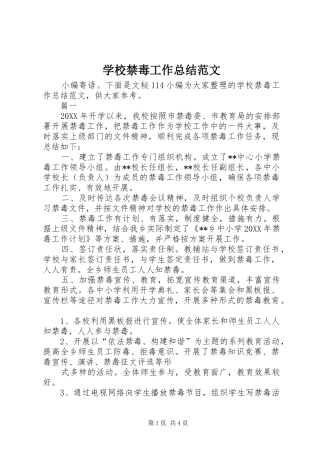 2024年学校禁毒工作总结范文