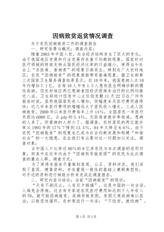 2024年因病致贫返贫情况调查