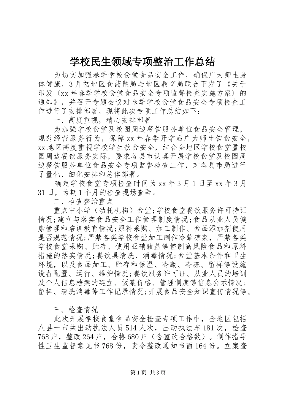 2024年学校民生领域专项整治工作总结_第1页