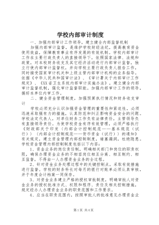 2024年学校内部审计制度