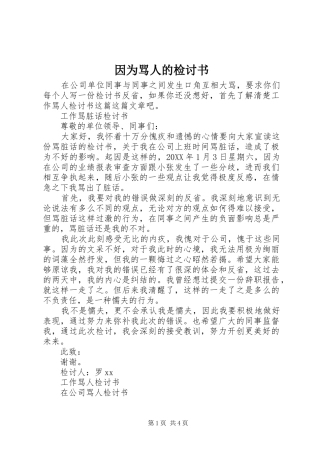 2024年因为骂人的检讨书