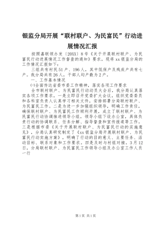 2024年银监分局开展联村联户为民富民行动进展情况汇报