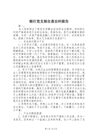 2024年银行党支部自查自纠报告