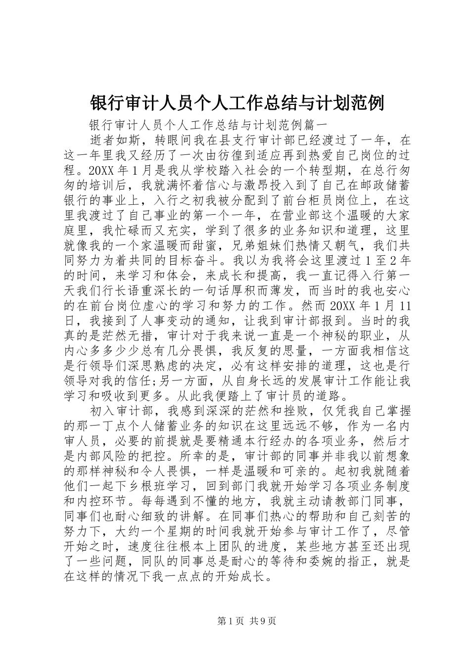 2024年银行审计人员个人工作总结与计划范例_第1页