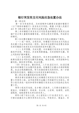 2024年银行突发性支付风险应急处置办法