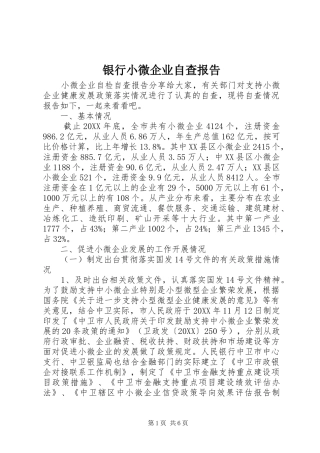 2024年银行小微企业自查报告