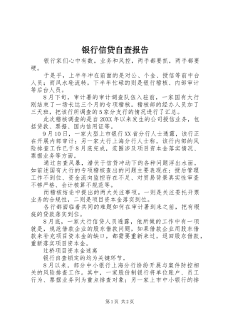 2024年银行信贷自查报告