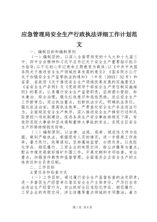 2024年应急管理局安全生产行政执法详细工作计划范文