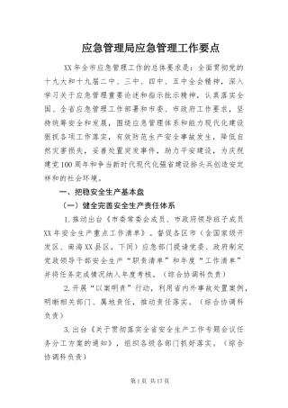 2024年应急管理局应急管理工作要点