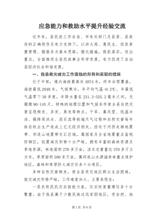 2024年应急能力和救助水平提升经验交流