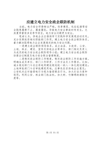 2024年应建立电力安全政企联防机制