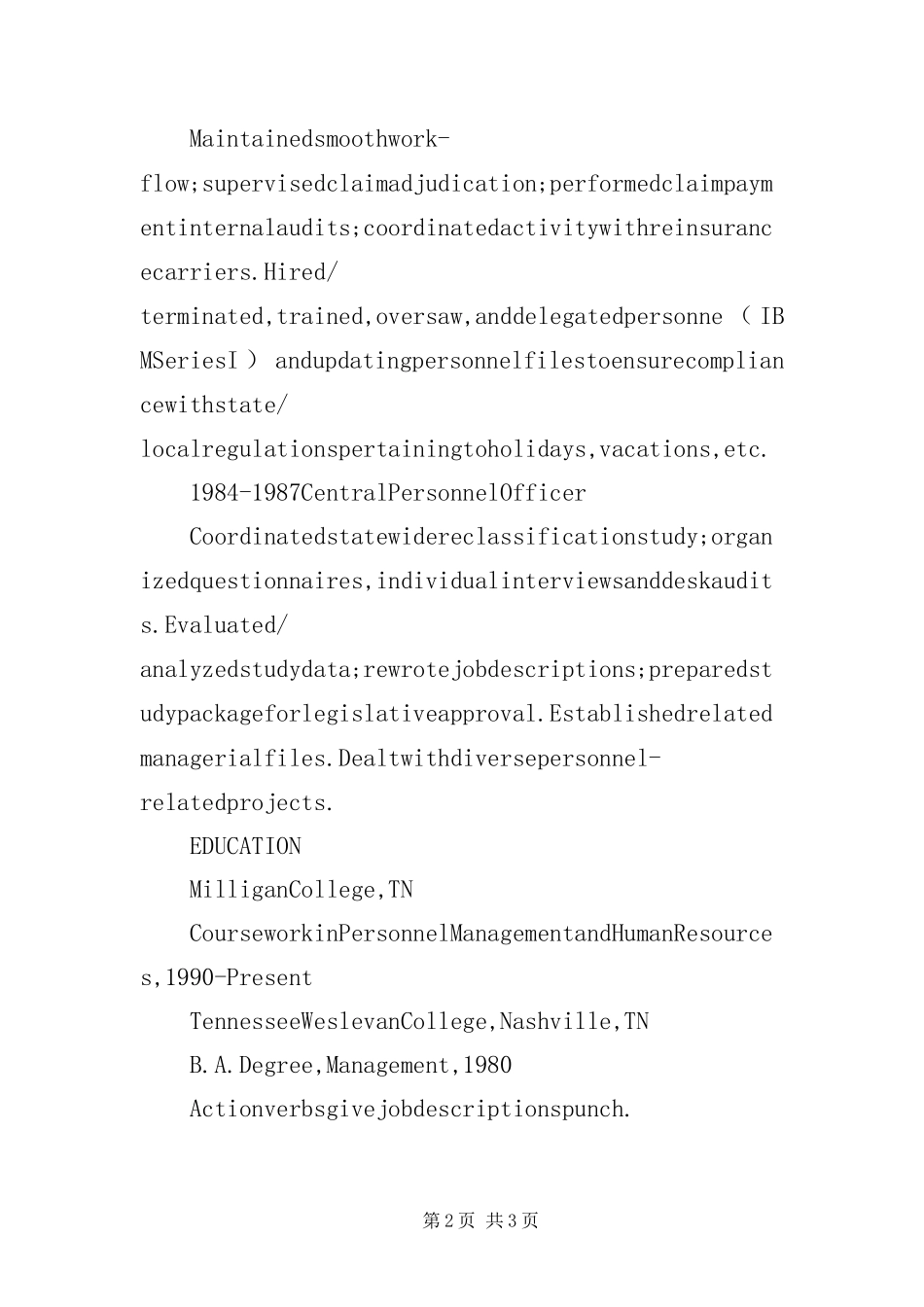 2024年英文求职自荐书人力资源总监_第2页