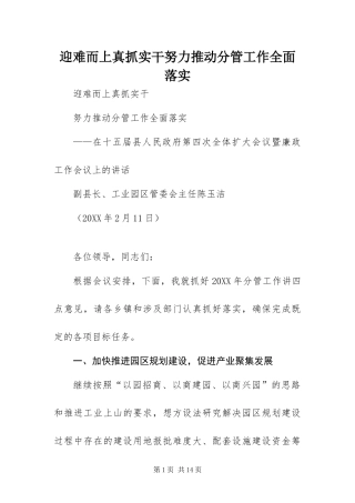 2024年迎难而上真抓实干努力推动分管工作全面落实