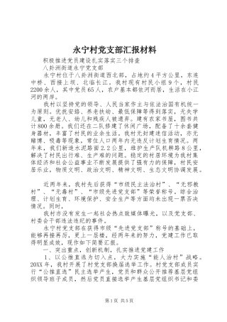 2024年永宁村党支部汇报材料