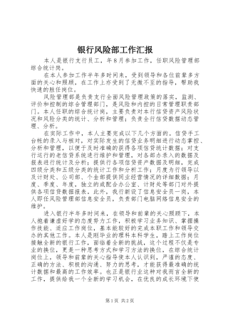 2024年银行风险部工作汇报