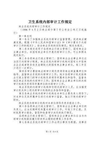2024年卫生系统内部审计工作规定