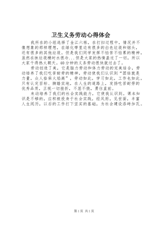 2024年卫生义务劳动心得体会