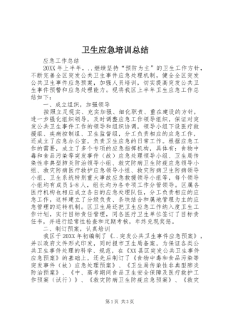 2024年卫生应急培训总结