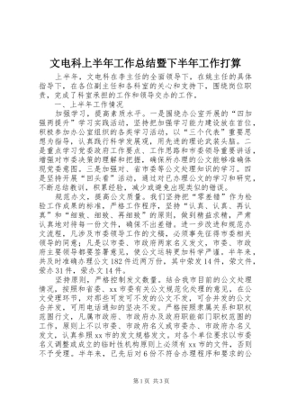 2024年文电科上半年工作总结暨下半年工作打算