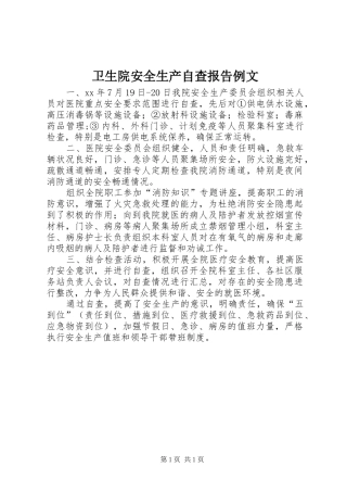 2024年卫生院安全生产自查报告例文