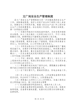 2024年文广局安全生产管理制度