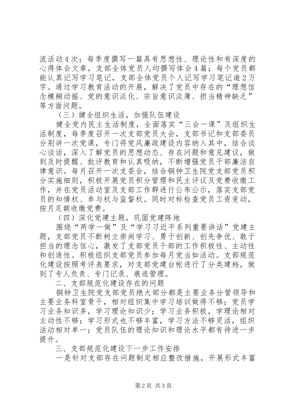 2024年卫生院党支部示范点评估报告_第2页