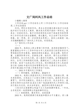 2024年文广局纠风工作总结