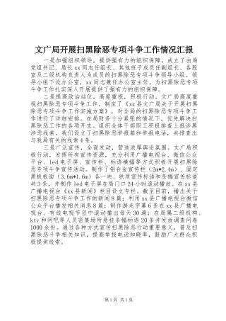 2024年文广局开展扫黑除恶专项斗争工作情况汇报