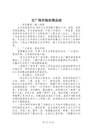 2024年文广局市场治理总结