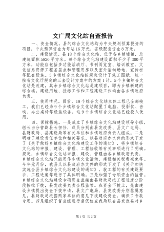 2024年文广局文化站自查报告