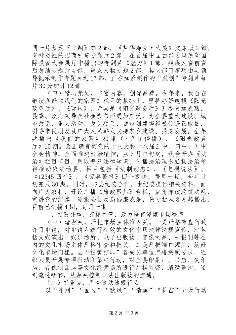 2024年文广局意识形态领域调研总结_第2页