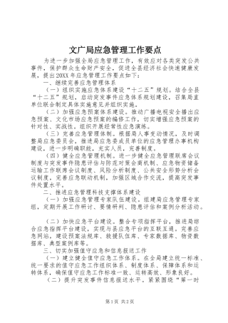 2024年文广局应急管理工作要点