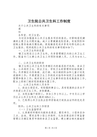 2024年卫生院公共卫生科工作制度