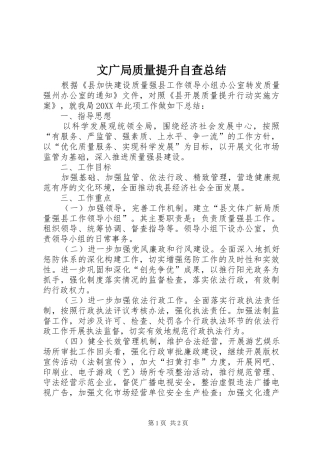 2024年文广局质量提升自查总结