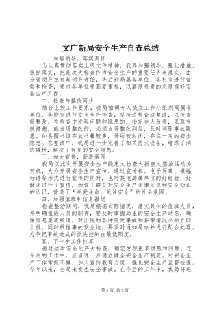 2024年文广新局安全生产自查总结