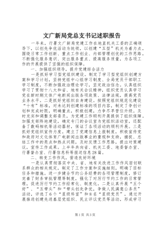 2024年文广新局党总支书记述职报告