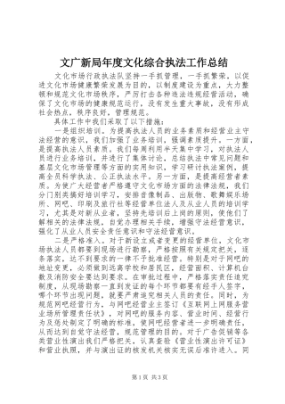 2024年文广新局年度文化综合执法工作总结