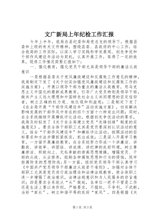 2024年文广新局上年纪检工作汇报