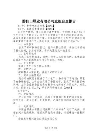 2024年游仙山煤业有限公司重组自查报告