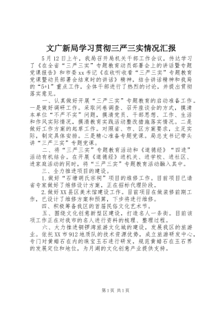 2024年文广新局学习贯彻三严三实情况汇报