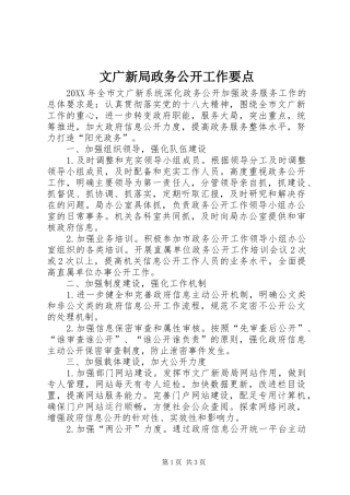 2024年文广新局政务公开工作要点